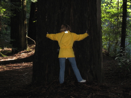 One of those California 'Tree Huggers'...
