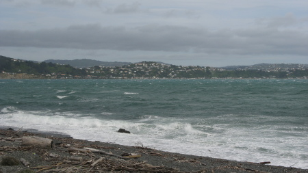 "Windy" Wellington, NEW ZEALAND