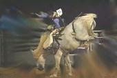 Jared in a Rodeo