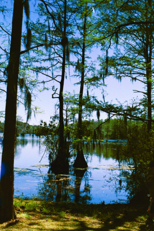 wilmington lakes