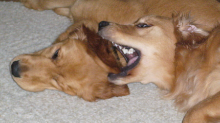 Brandy And Amber Playing