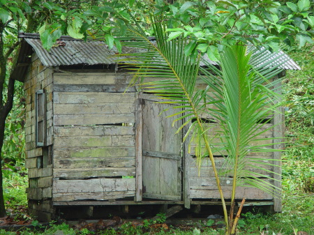 My first home in Panama Central America... ;)