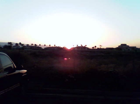 Sunset In Palm Desert