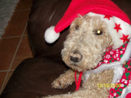 tuffy christmas 08