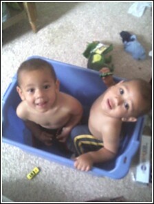 Babies in a Box