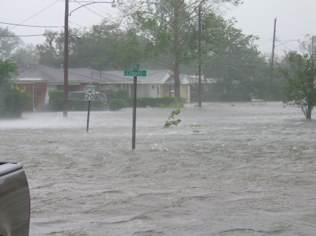 my front yard during katrina