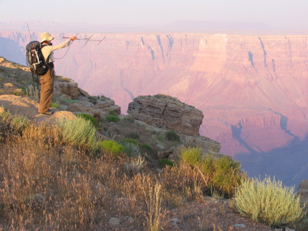 radio telemetry at the Grand Canyon