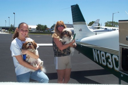 Planes and puppies