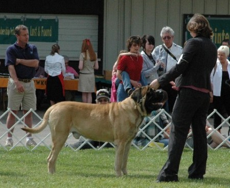 Debbie and Diesel in the Working Group Ring