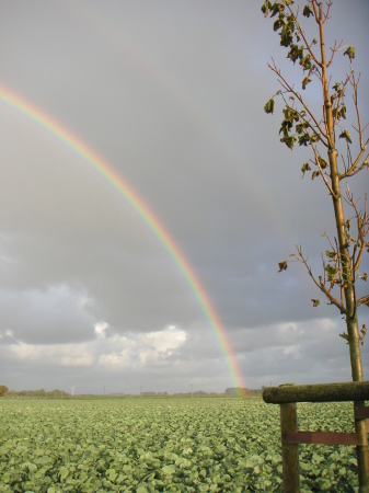 rainbow