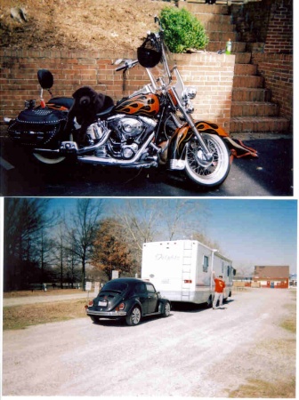 MY 2001 HARLEY SOFTAIL