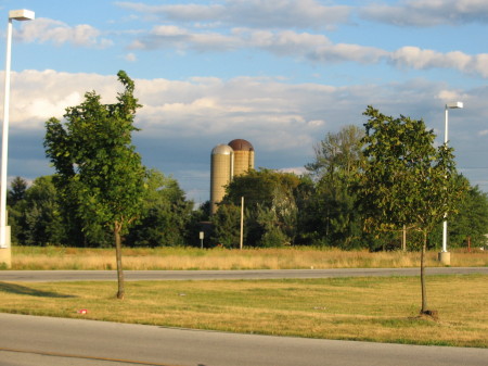 Farms inside City Limits