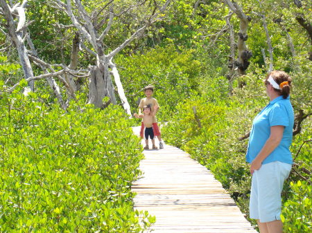 The dock into our cabin on Cayo Costa