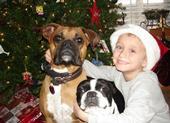 My stepson Peyton and our pooches