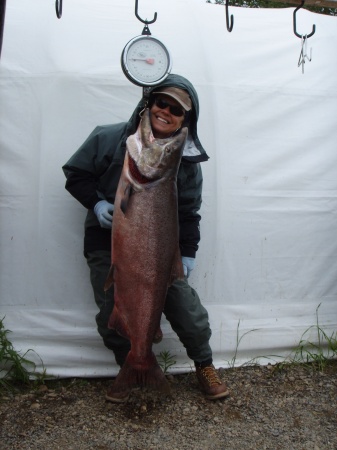 Alaska Kingfisher 47-lbs