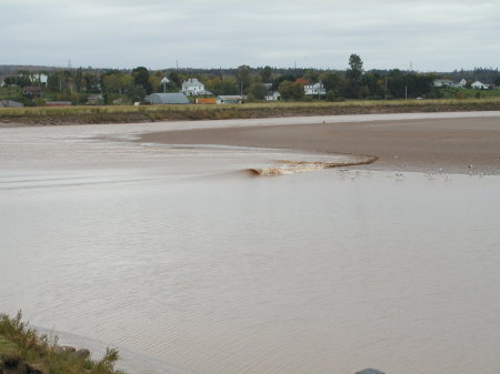 Nova Scotia Tide