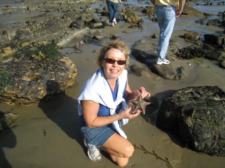 Beachcombing