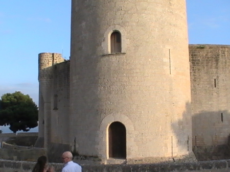 The tower to the castle and the molt