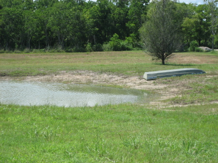 South pasture