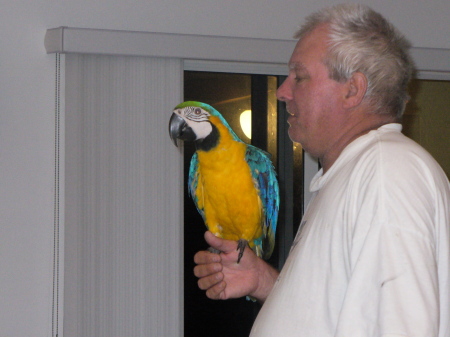 My Husband and his Macaw