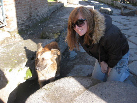 Pompeii Stray