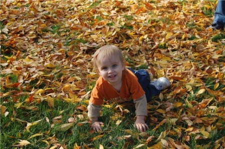 Fun in the leaves