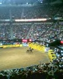 The Big One (Rodeo)
