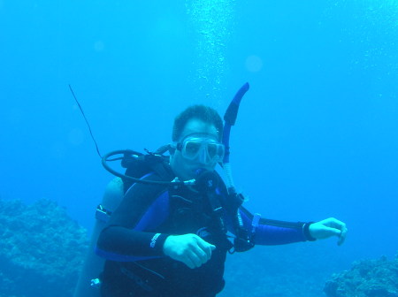 Diving in caribbean