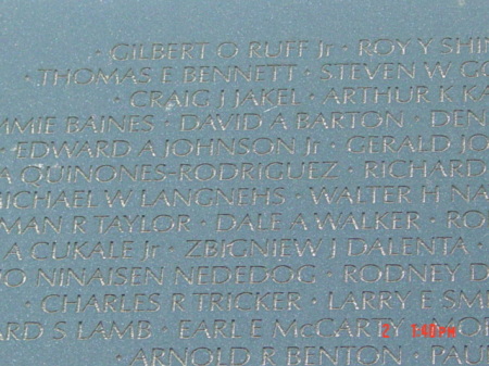 David (Dabo) Barton (Vietnam Memorial)
