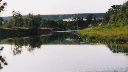 Mirrored River