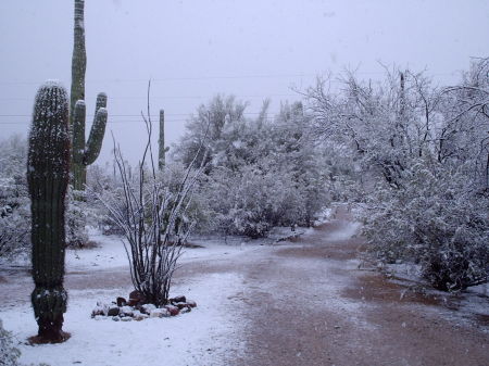 Late winter snow surprise!