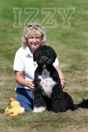 Izzy (Portuguese Water Dog) and Me