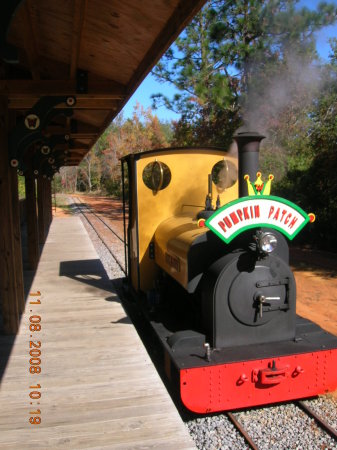 WALES WEST STEAM ENGINE