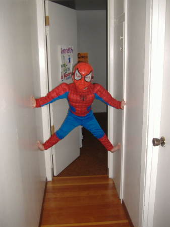 My Spiderboy