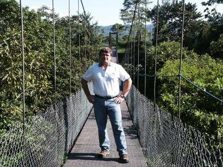 Bridge to the Rainforest
