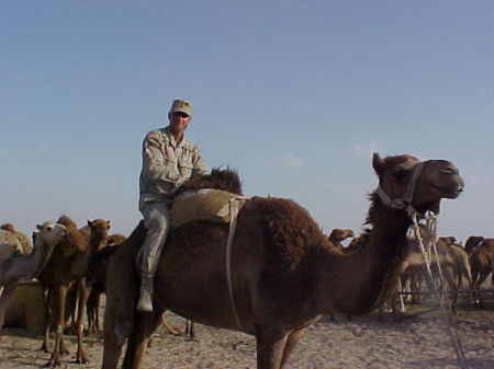 In Kuwait at the Camel Racing Club