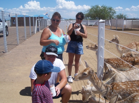 me feeding the deer