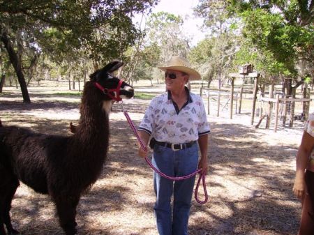 Me with one of our 5 llamas