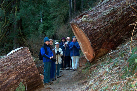 Thurs Trail Trekkies