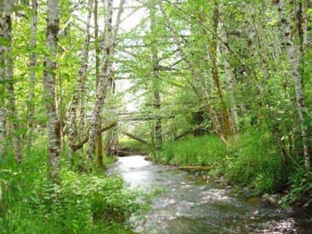 Manning bike trail