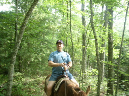 camping in nc mountains