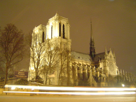 Notre Dame in fog