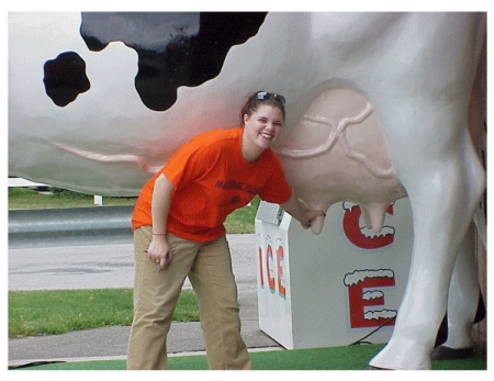 My encounter with a giant cow