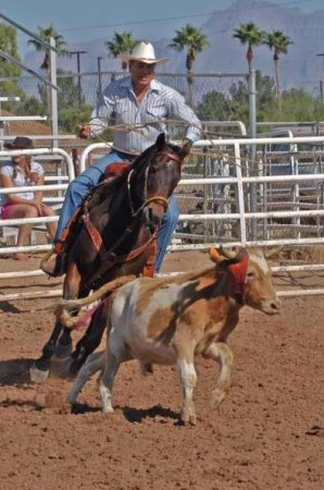 Ribbon Roping