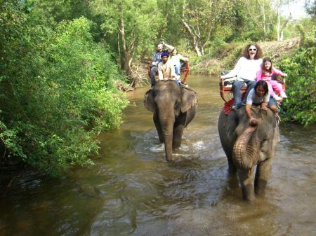 Thailand - Dec 26, 2006  Riding Elephants