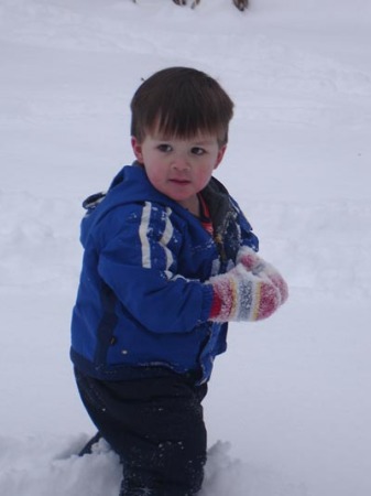 Cody in the snow