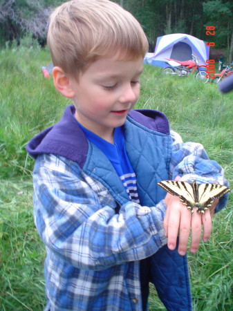 Mitchell and the butterfly