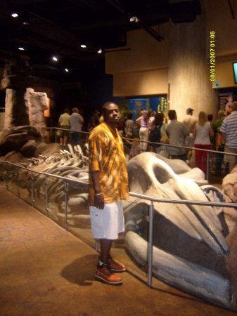 At the Atlanta Aquarium