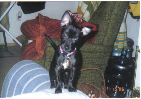 Eliza's baby pic (6mo old) 2006