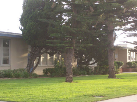 Sutter Elementry School